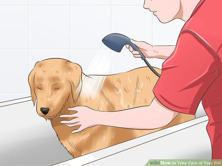 Step 10