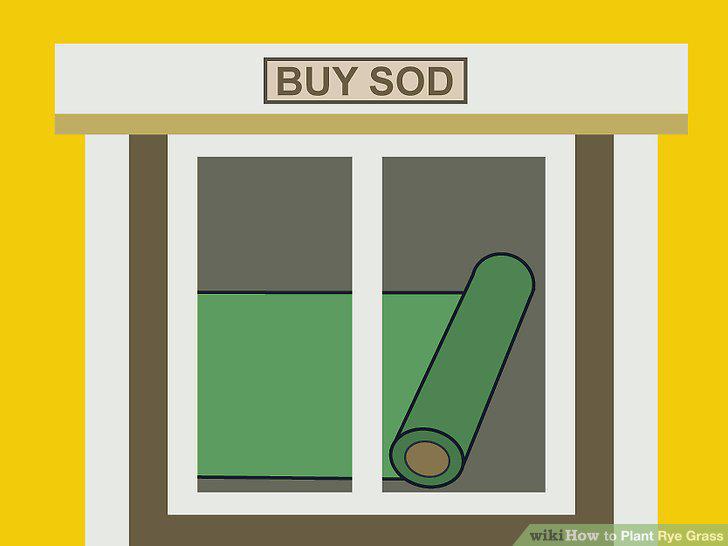 Step 11