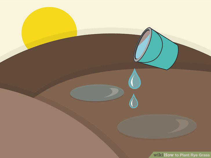 Step 12