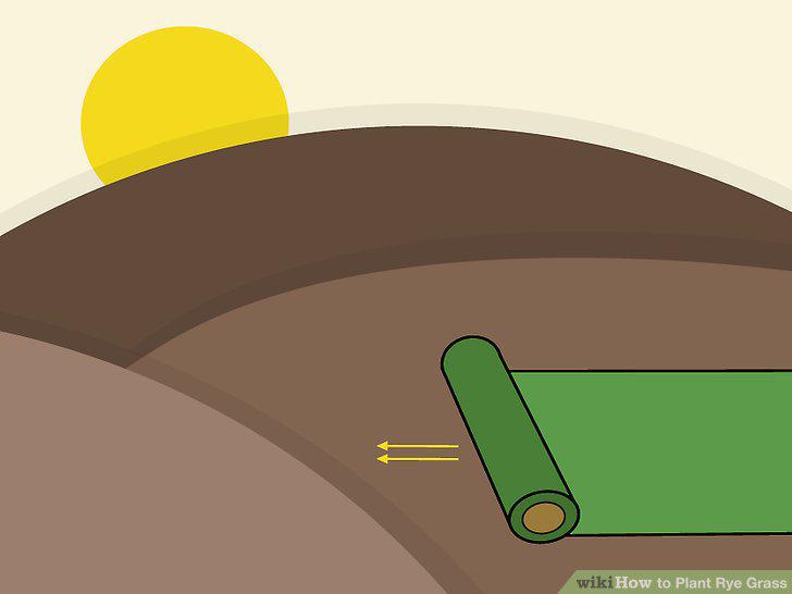 Step 13