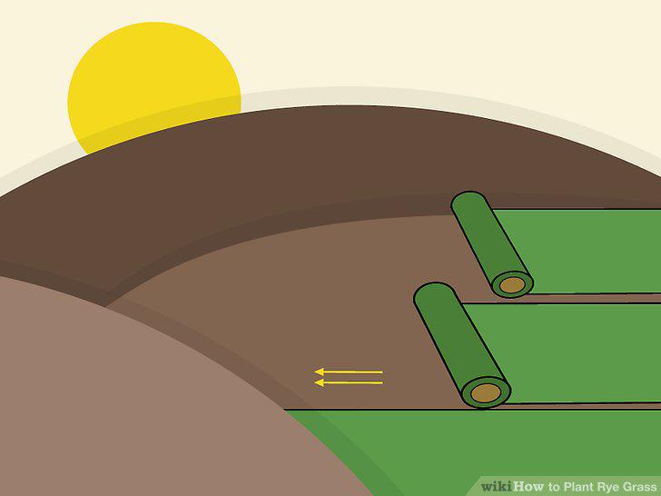Step 14