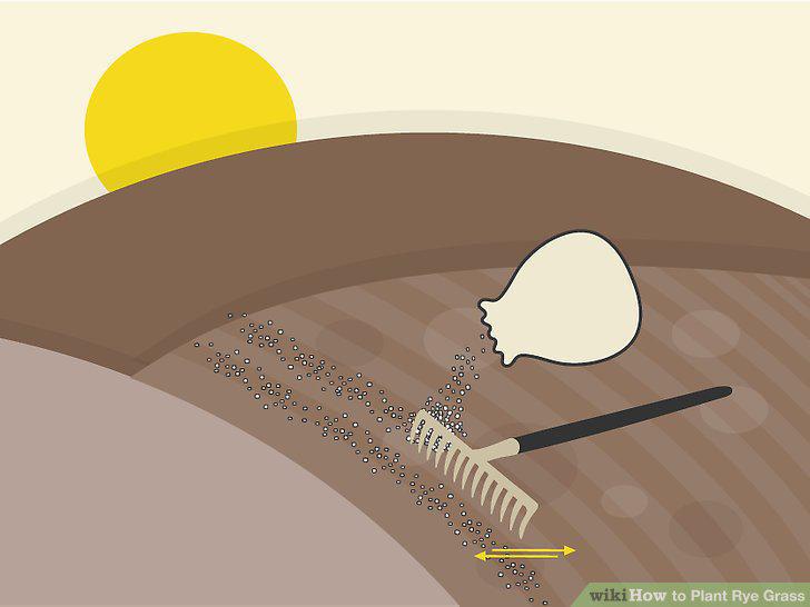 Step 9