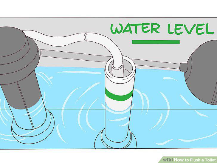 Step 12