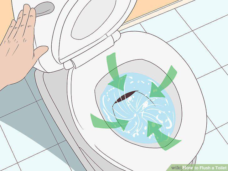 Step 15