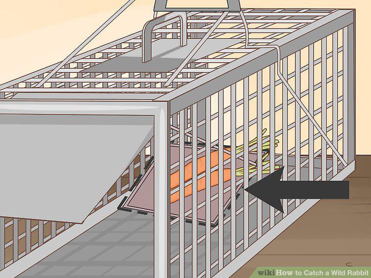 Step 6