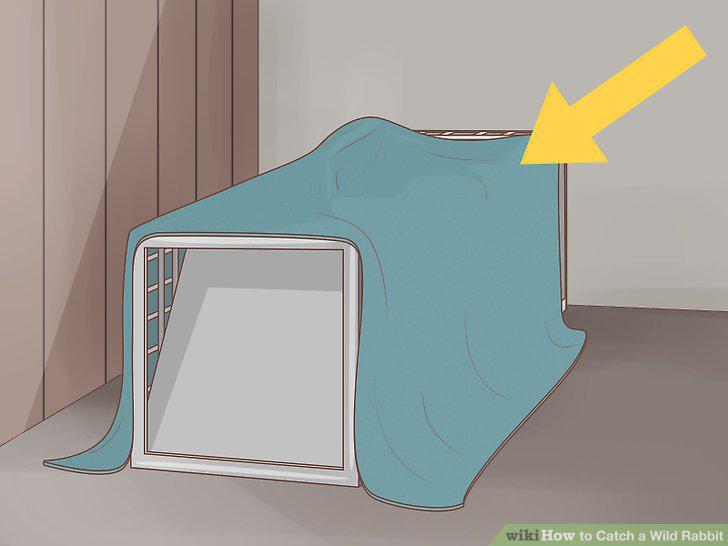 Step 9
