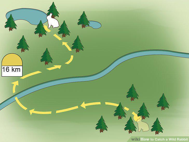 Step 10