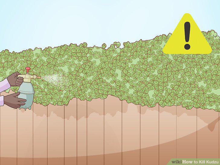 Step 11