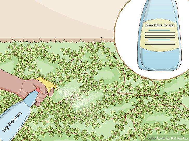 Step 13