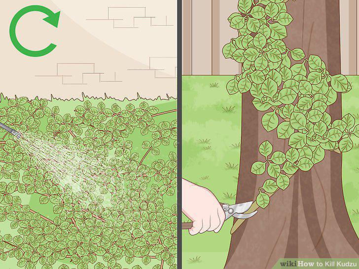 Step 10