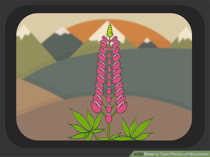 Step 18