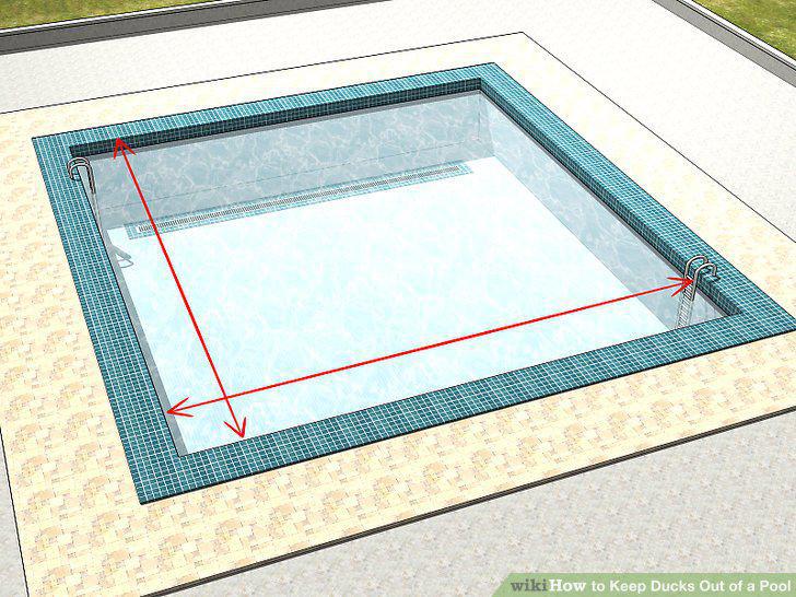 Step 11