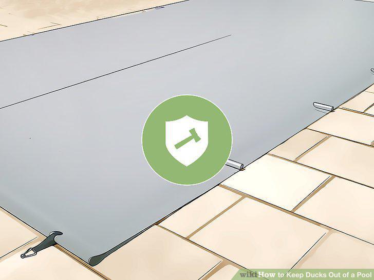 Step 15