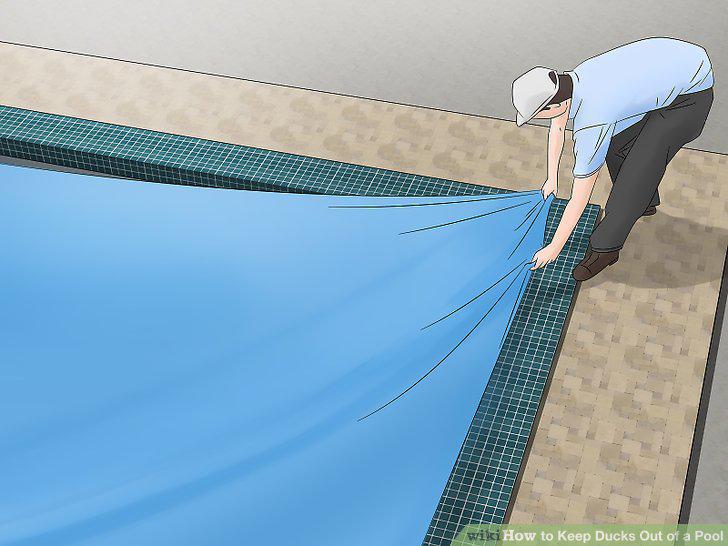 Step 17