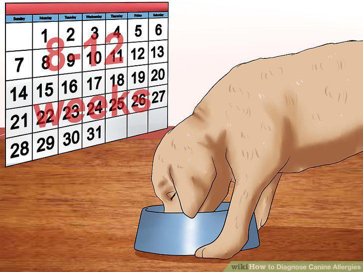 Step 11