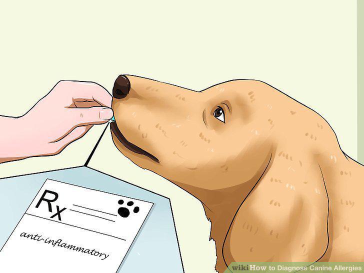 Step 12