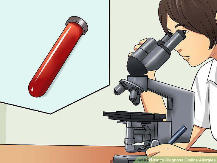Step 8