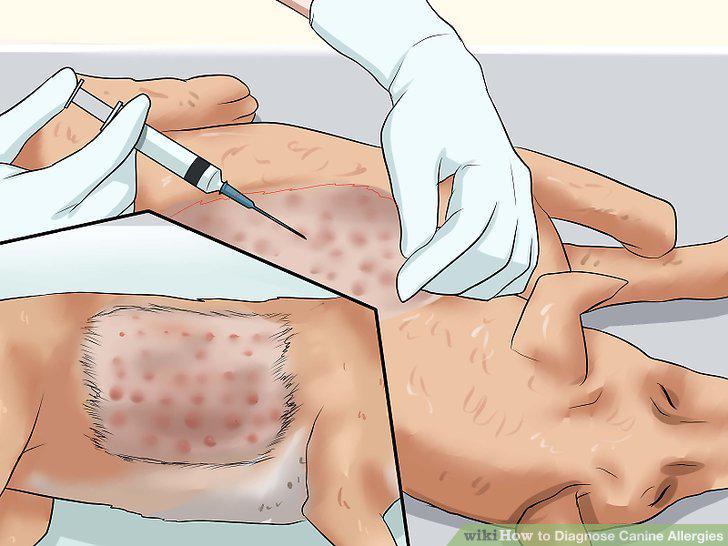 Step 9
