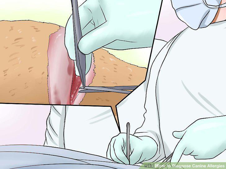 Step 10