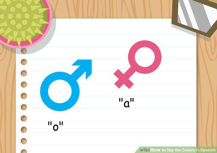 Step 14