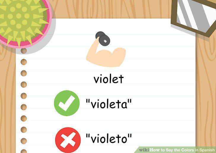 Step 16