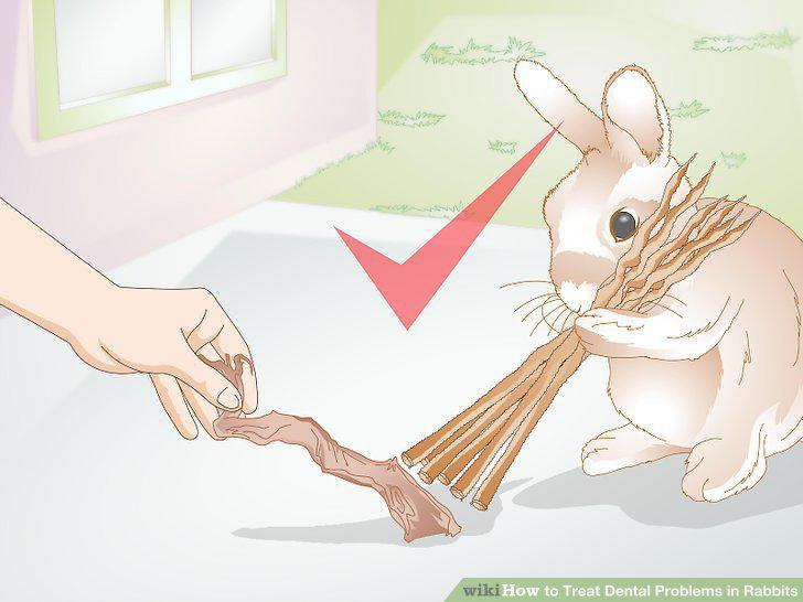 Step 12