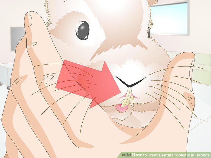 Step 3