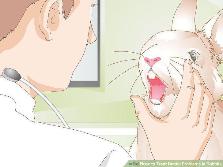 Step 5