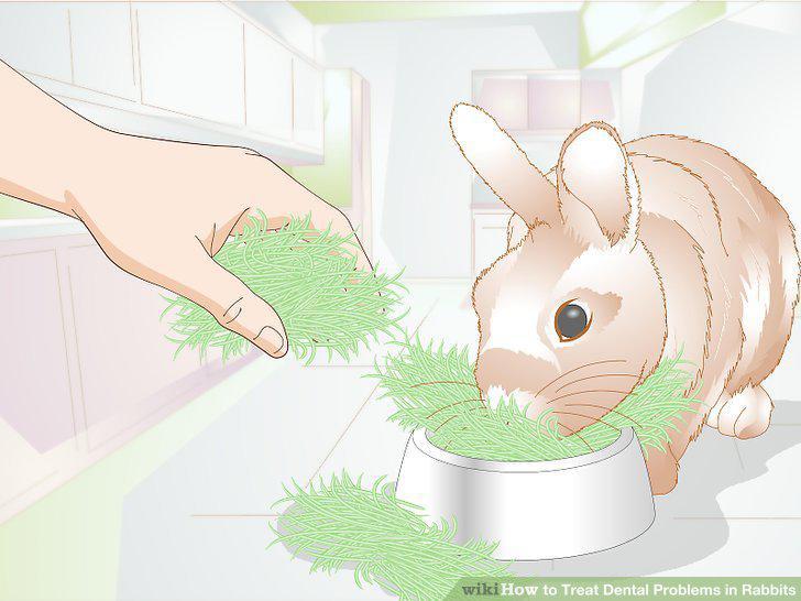 Step 10