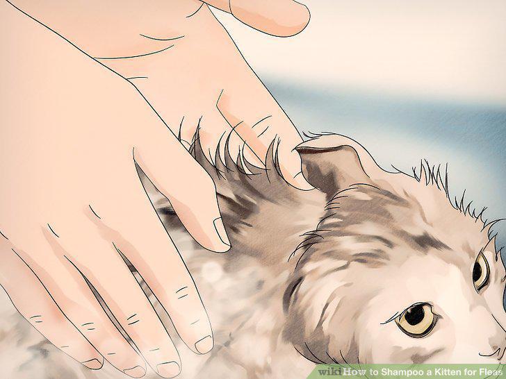 Step 6