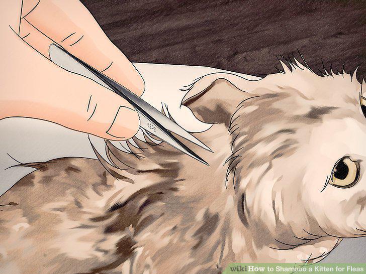 Step 9