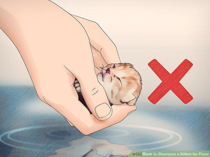 Step 10