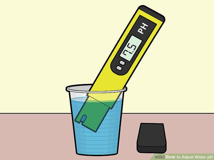 Step 12