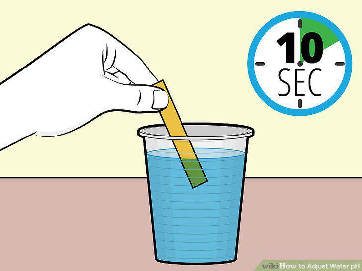 Step 9