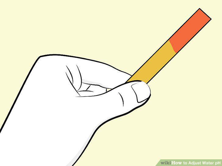 Step 10