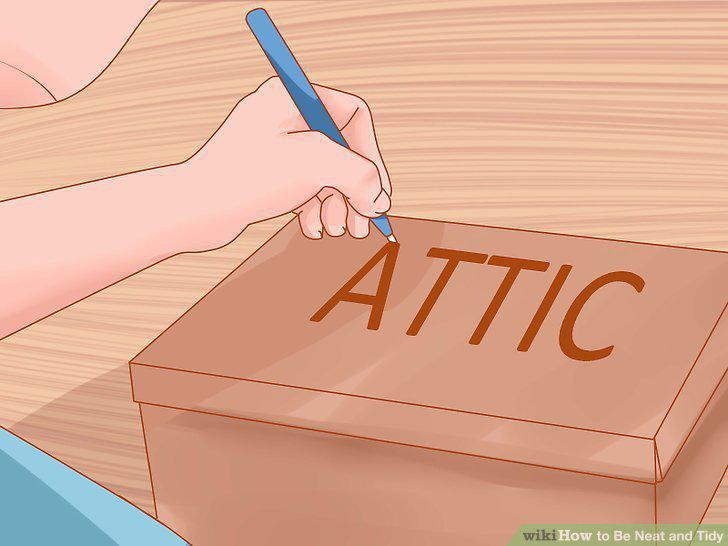 Step 19