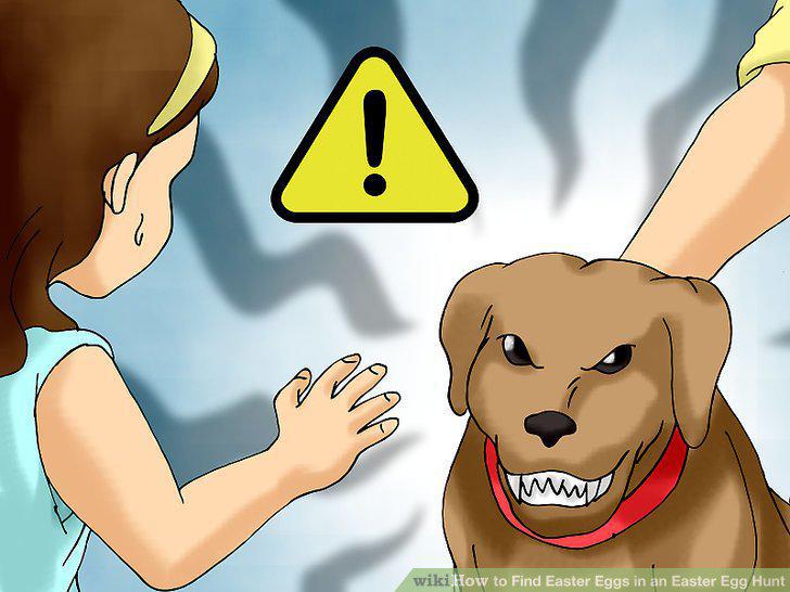 Step 12