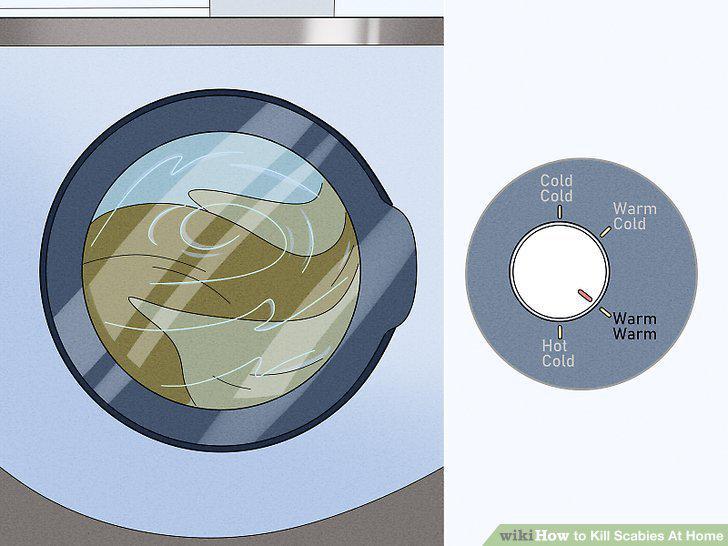 Step 11