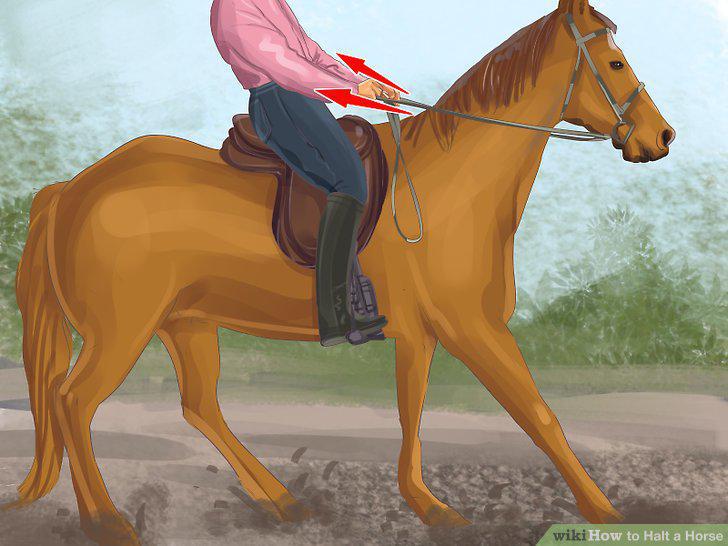 Step 6