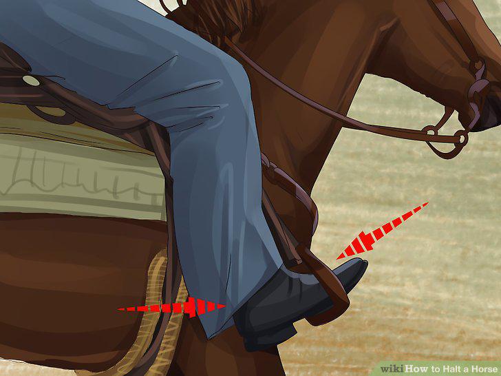 Step 9