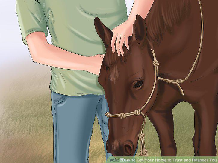 Step 12