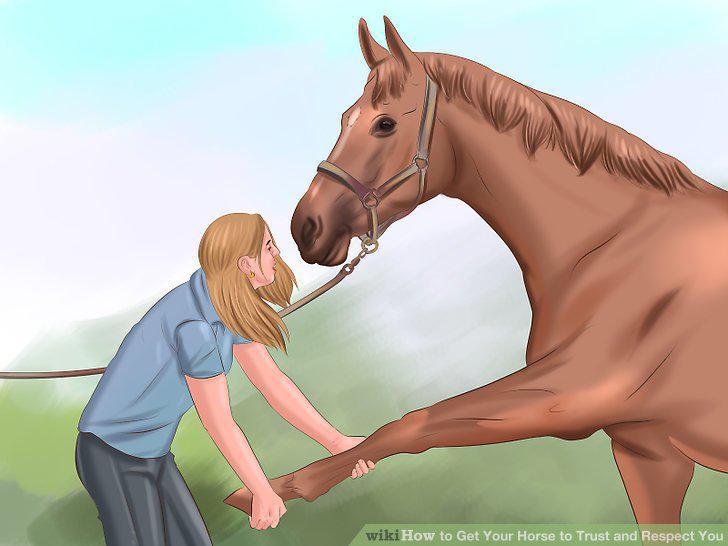 Step 13