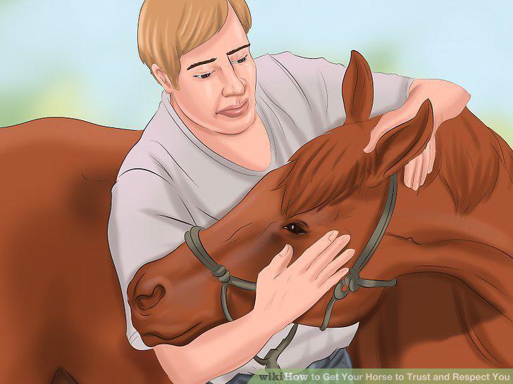 Step 14