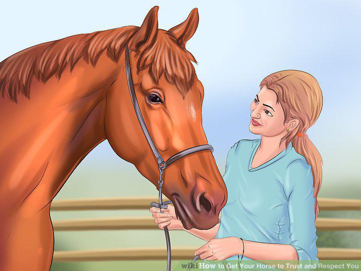 Step 15