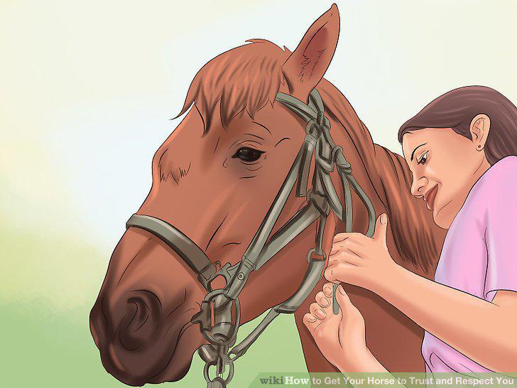 Step 16