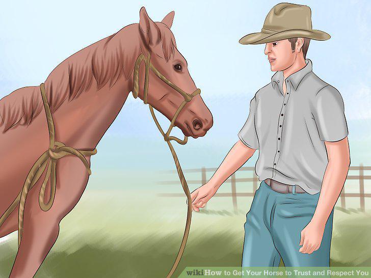 Step 17