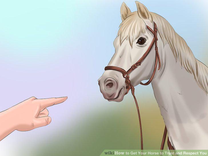 Step 18