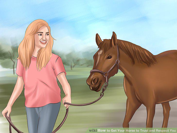 Step 19