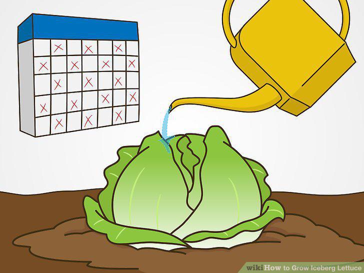 Step 14