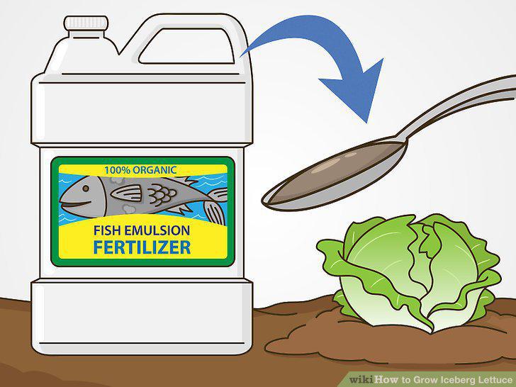 Step 16